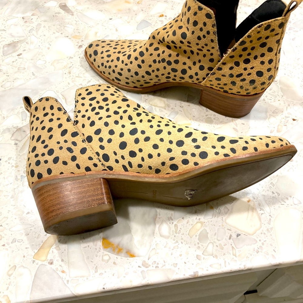 Leopard Dolce Vita booties. Gently worn and ready for winter wear.